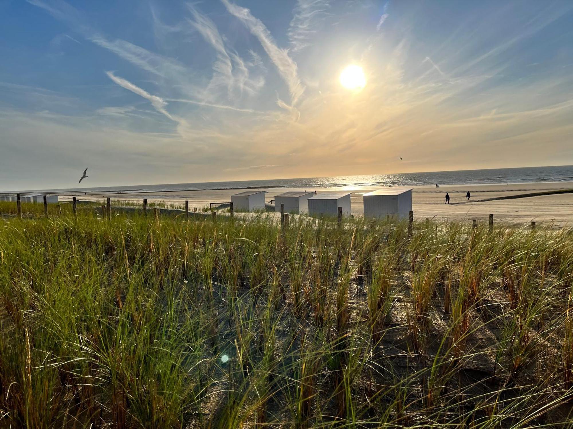 Willa Beach Bungalow Green Middelkerke Zewnętrze zdjęcie