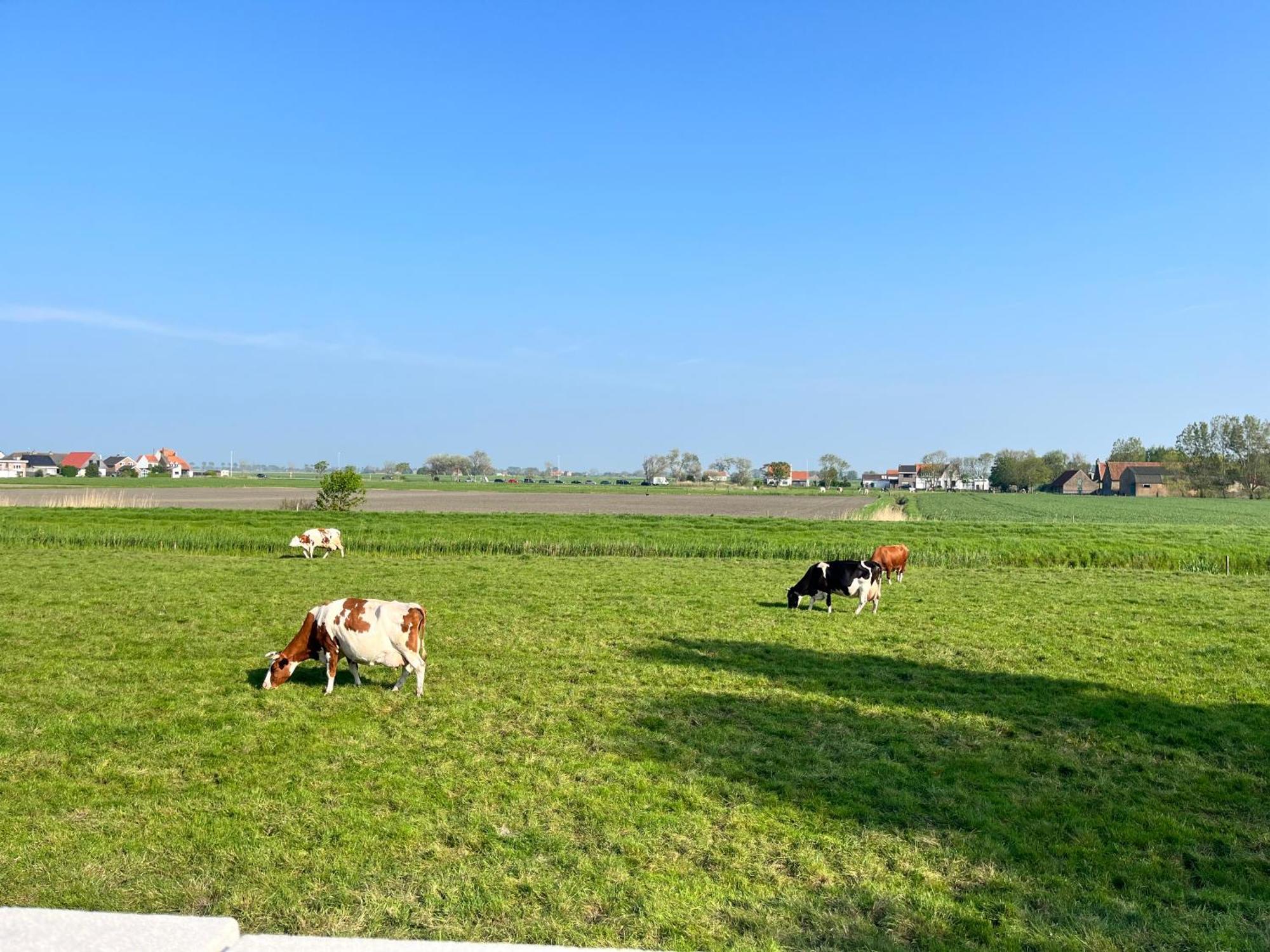 Willa Beach Bungalow Green Middelkerke Zewnętrze zdjęcie